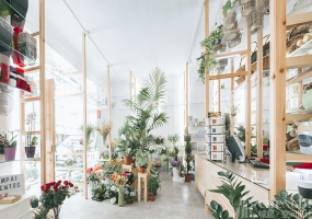 花店裝修設(shè)計裝修圖片,花店裝修設(shè)計裝修布局圖