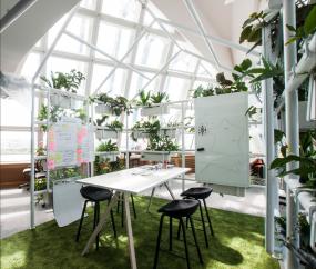 最新辦公室植物裝修設(shè)計效果圖