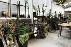 現代簡約風格主題餐廳裝修效果圖