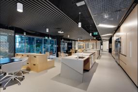 大型辦公室室內吊頂燈裝修效果圖片大全
