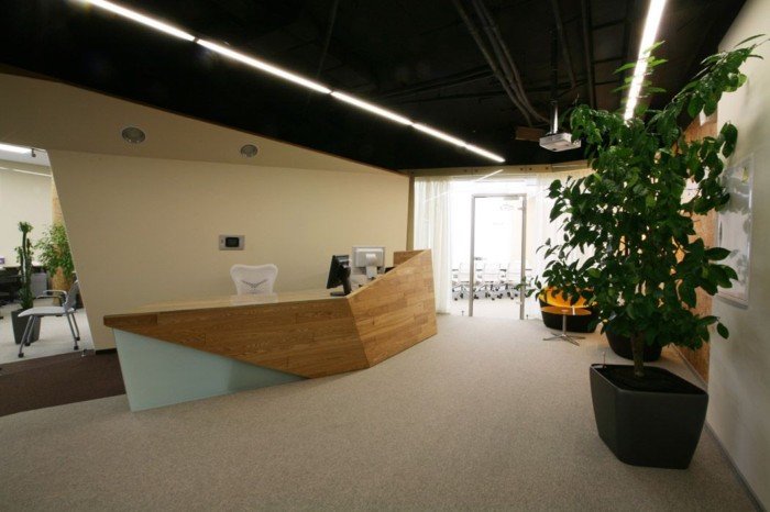 辦公室綠色植物
